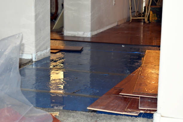 Professional Basement Flood Cleanup technician working in Pleasantville, NJ
